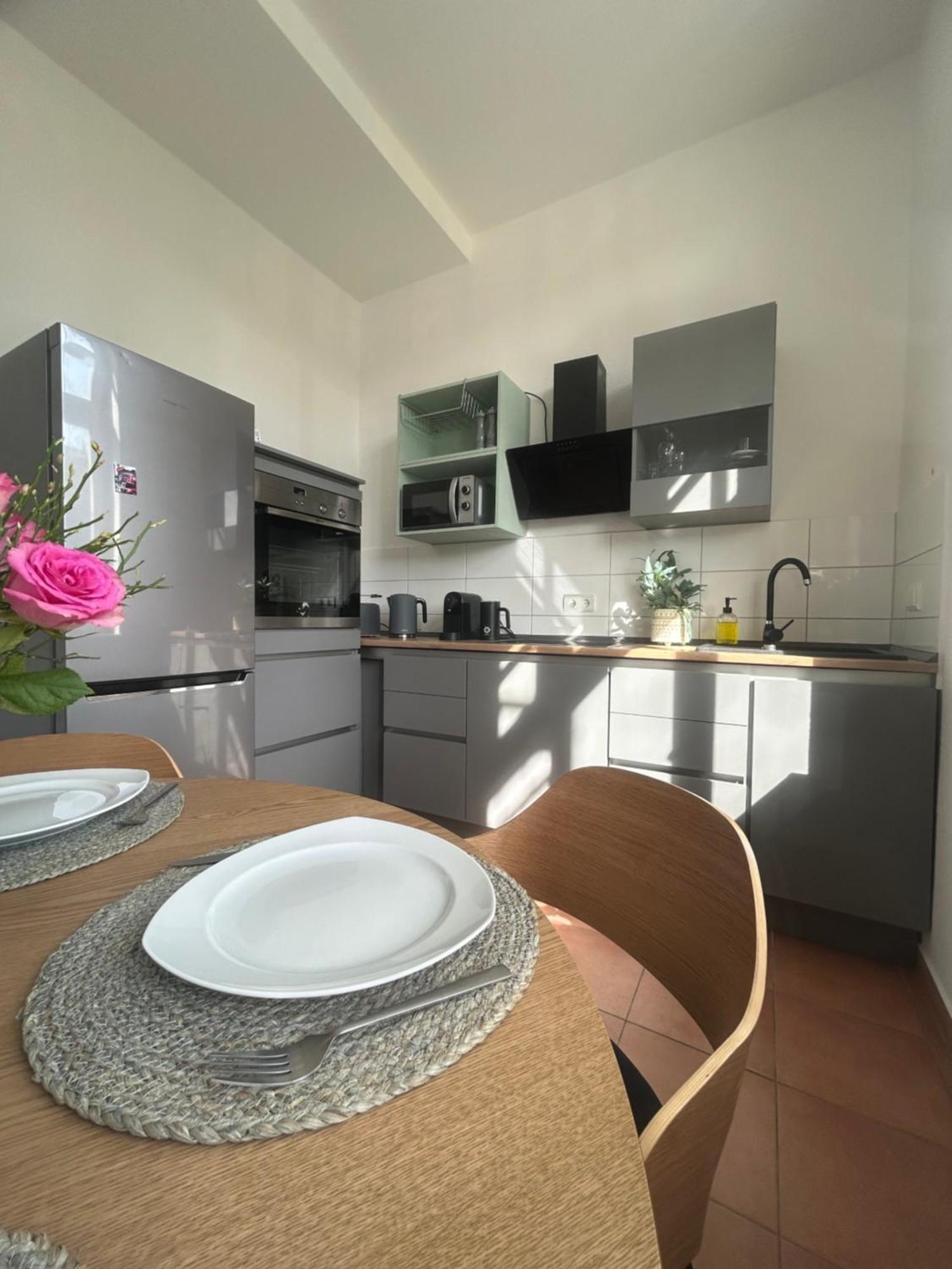 Mintara Komfort Apartment Mit Grill -Terrasse, Sky Und Parkplatz Maagdenburg Buitenkant foto