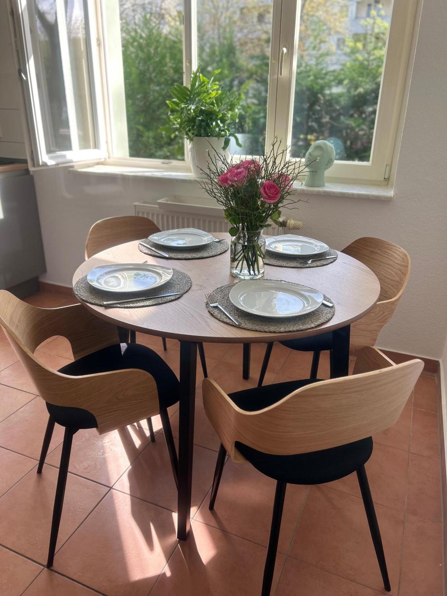 Mintara Komfort Apartment Mit Grill -Terrasse, Sky Und Parkplatz Maagdenburg Buitenkant foto