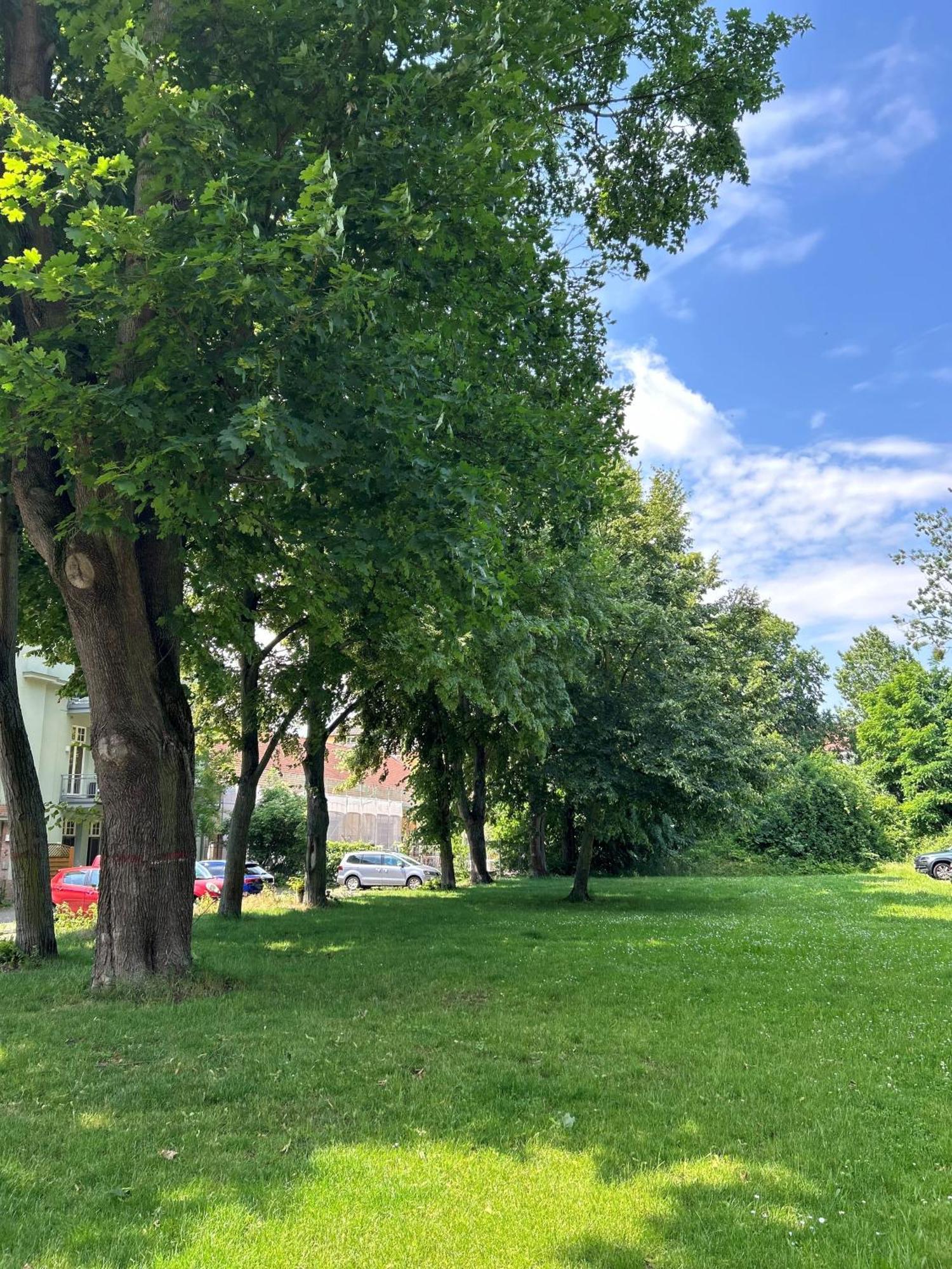 Mintara Komfort Apartment Mit Grill -Terrasse, Sky Und Parkplatz Maagdenburg Buitenkant foto
