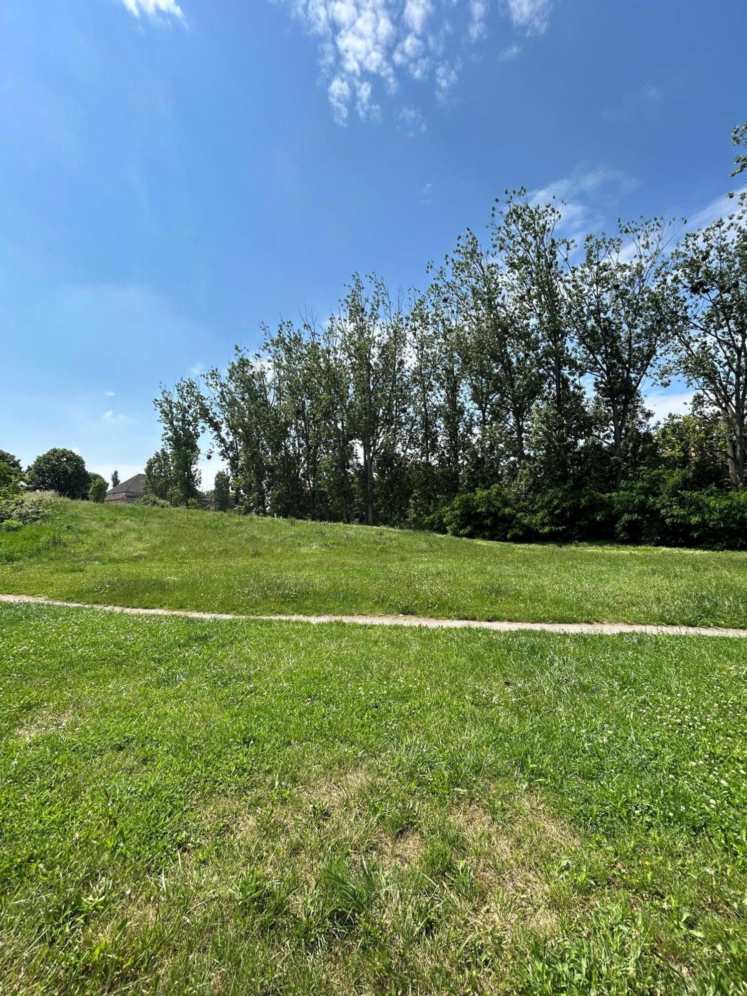 Mintara Komfort Apartment Mit Grill -Terrasse, Sky Und Parkplatz Maagdenburg Buitenkant foto